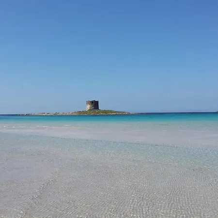 Oda ve Kahvaltı Diana's Stintino